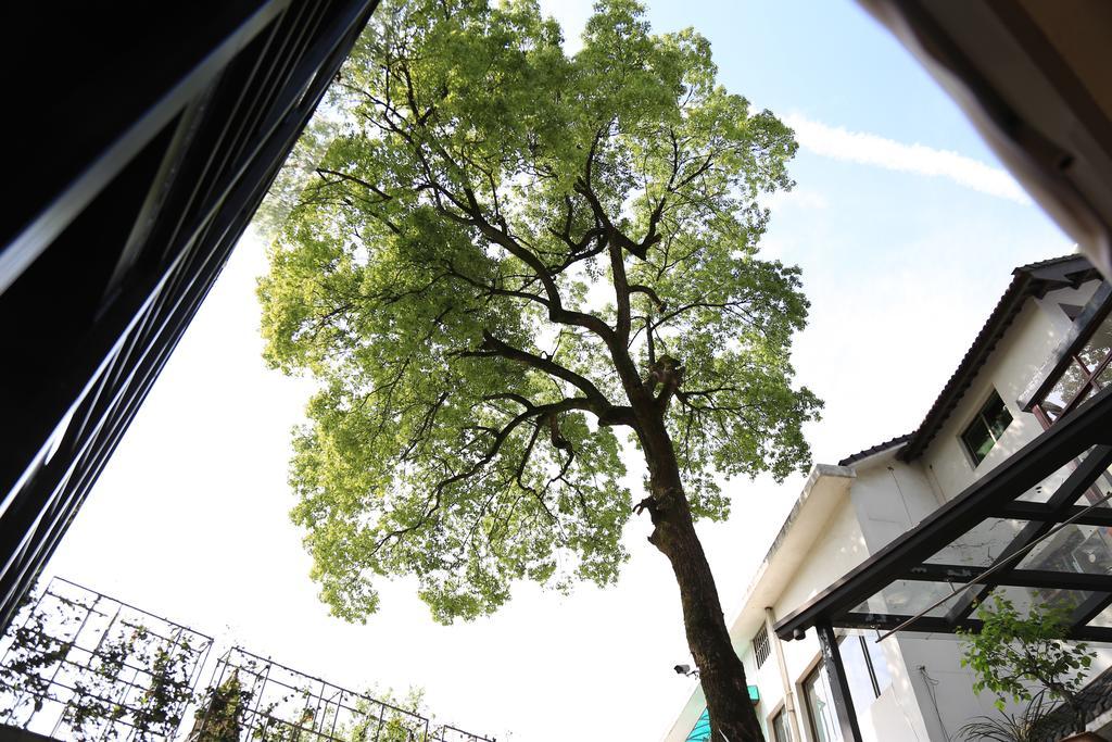 Hostal Yinling Seclusive Genealand Hangzhou Exterior foto